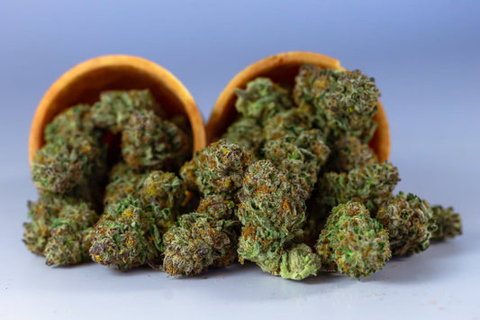 White Widow Strain: The Complete Guide to Cannabis's Most Legendary Hybrid