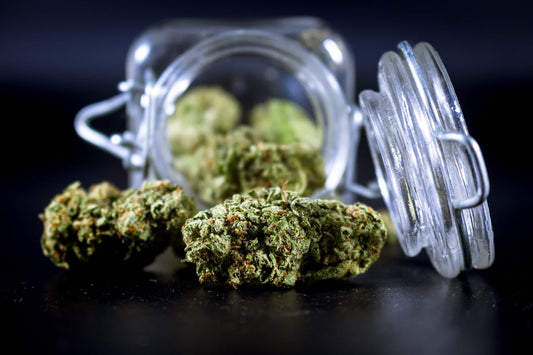 Strawberry Cough Strain: Complete Guide to Effects, Genetics & Benefits