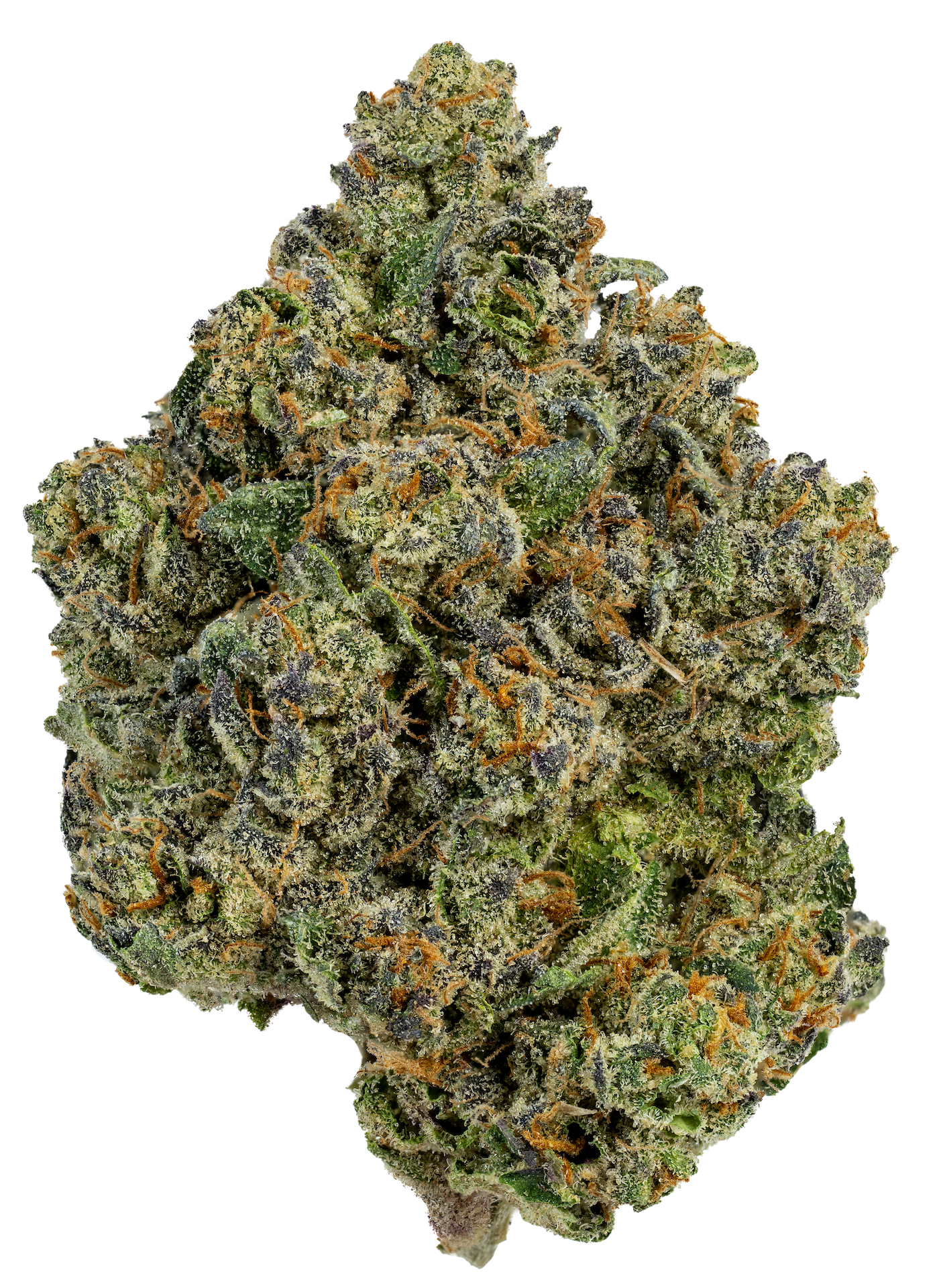 Spritz Jezzica Rabbit Sativa Flower 3.5g