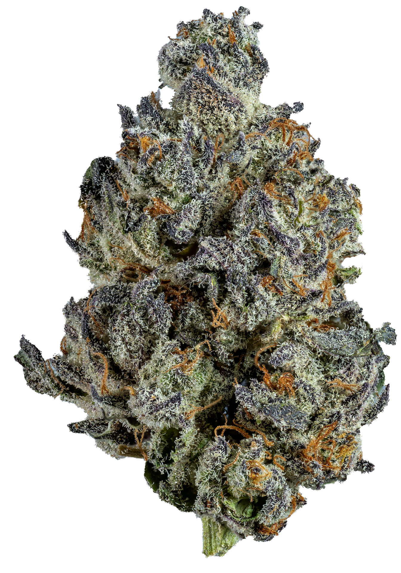 Spritz Special Edition Queen Peach Sativa Flower 3.5g