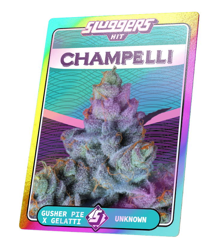 Champelli Cassis - Juiced Pack - Sluggers