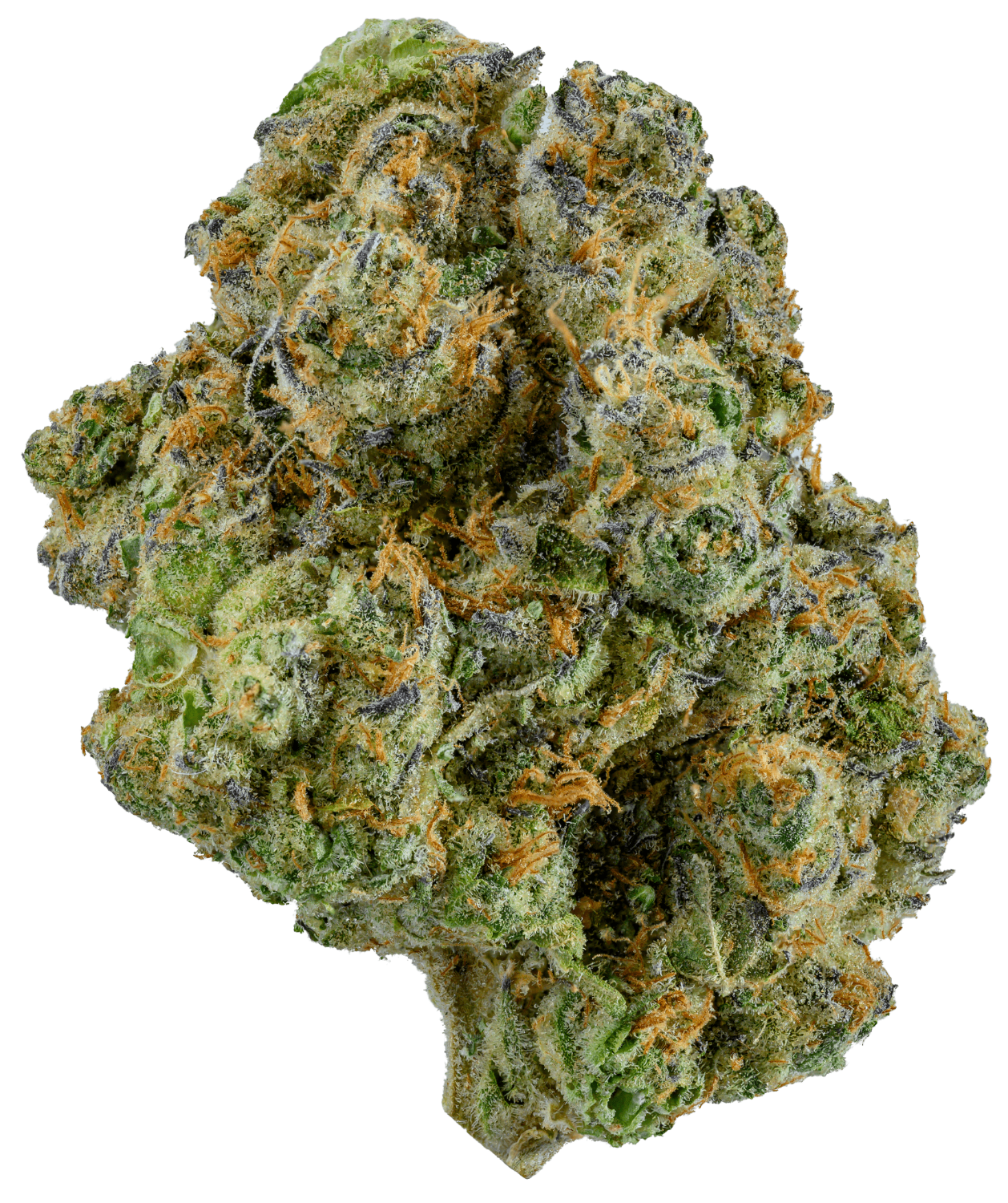 Euphoria - Flower - Sluggers