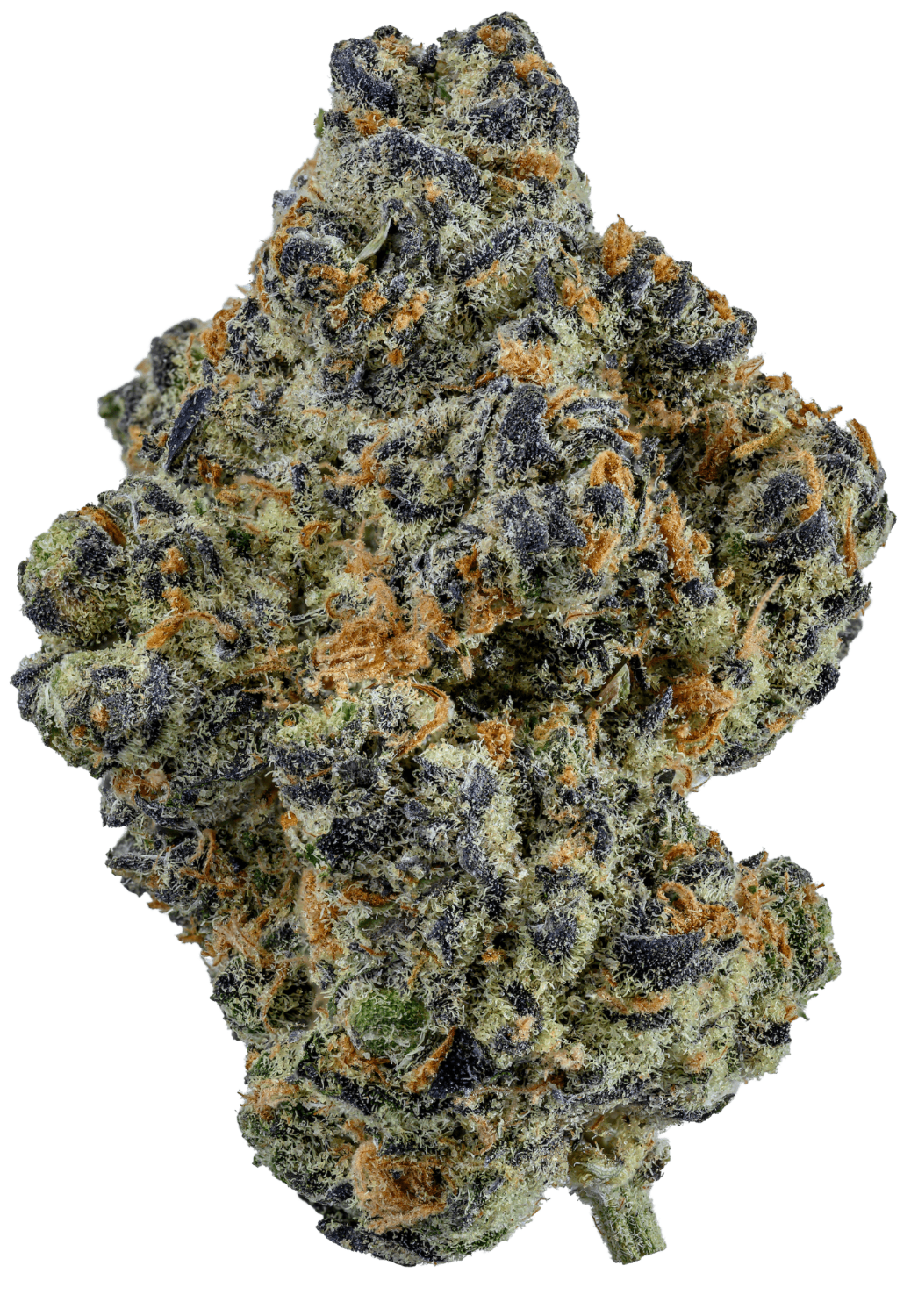 Sugarland - Flower - Sluggers