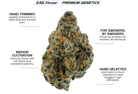 Gelato Strain: Effects, THC Level, Flavor, Genetics & Growing Guide