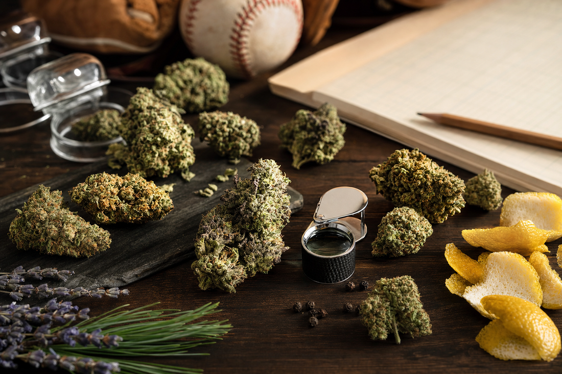 THCa Flower: Stop Shopping by THC Percentage