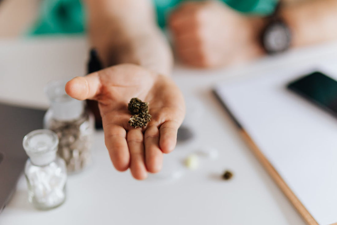Sativa Pre Rolls: Energizing, Creative, and Premium Cannabis