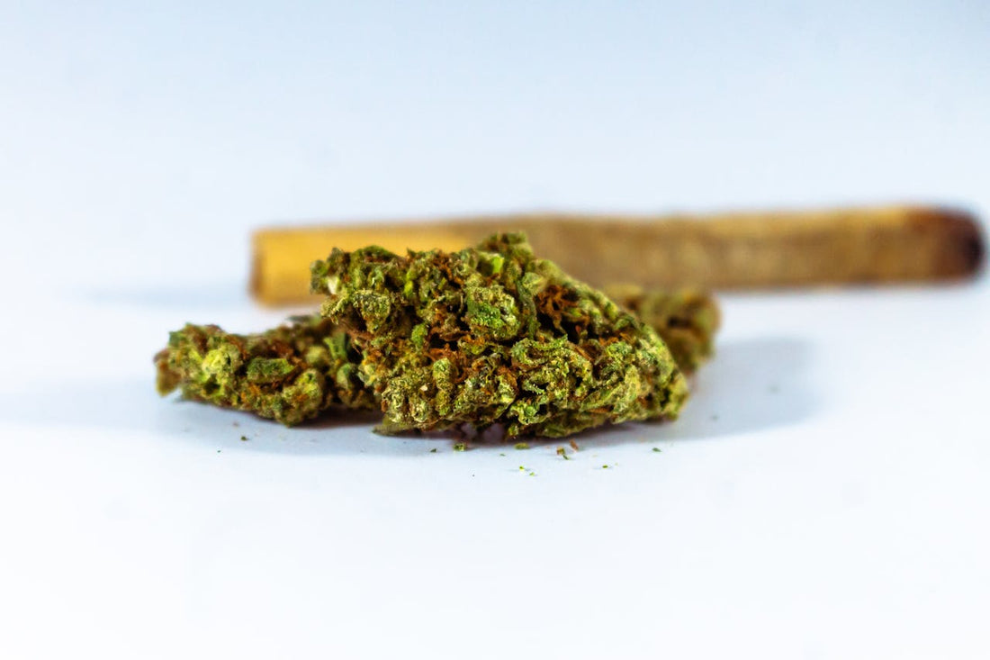 Sativa Pre-Rolls: Energizing Effects, Benefits, and How to Choose