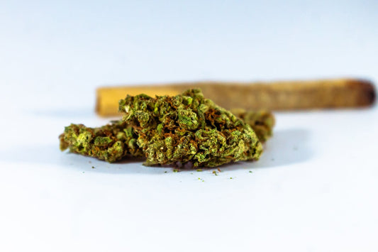 Sativa Pre-Rolls: Energizing Effects, Benefits, and How to Choose