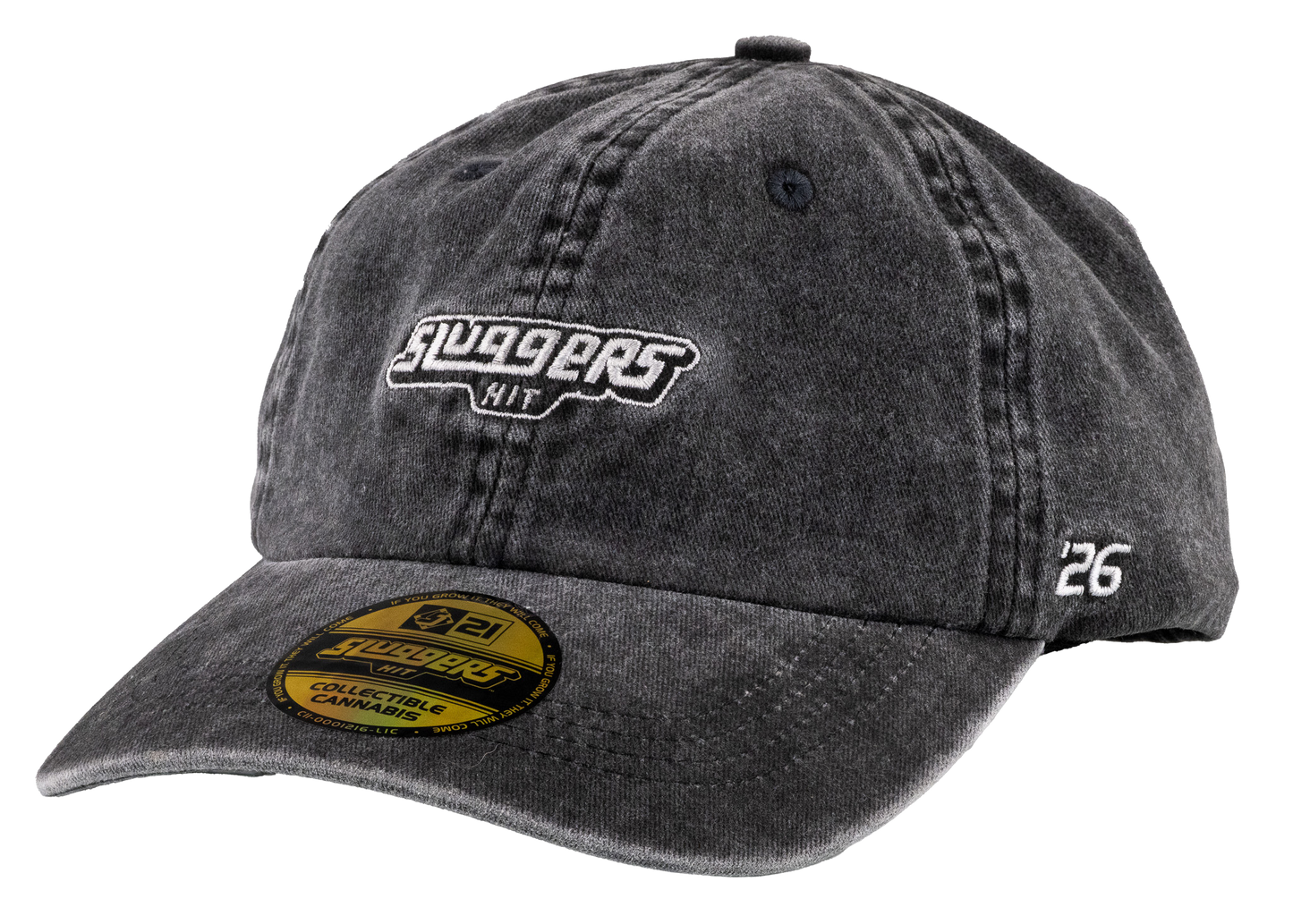 Washed Black Dad Hat