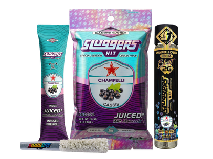 Champelli Cassis Bundle