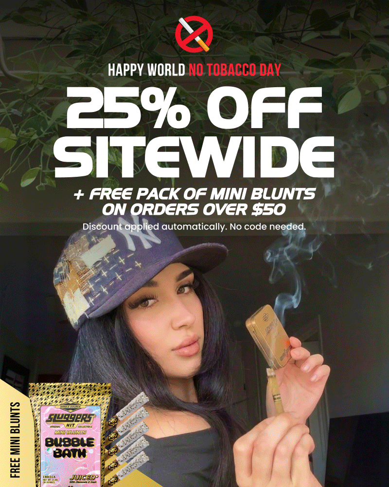 non combustible tobacco Amazon.com: Smoke Free Herbal Cocoa Bean Cigarettes -5 Packs Menthol 100%  Tobacco Free & Nicotine Free - Non Addictive - Tobacco Substitute