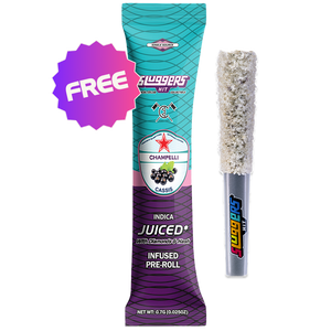 Champelli Cassis Indica