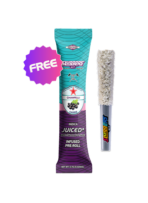 Champelli Cassis Indica