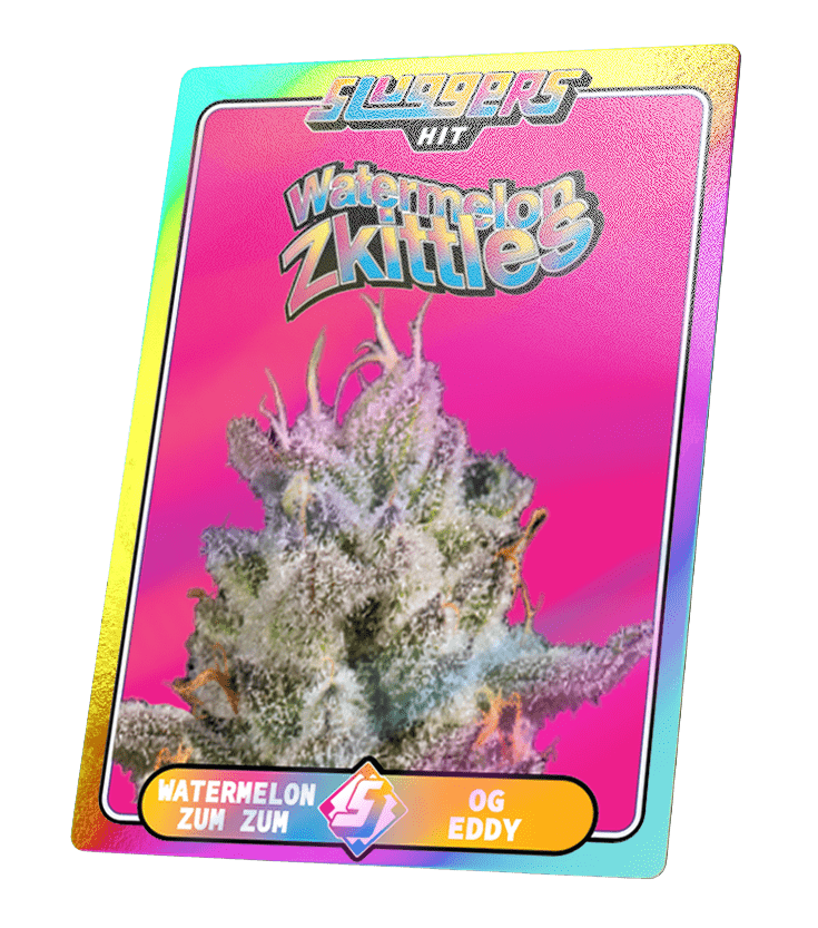 Watermelon Zkittles - Juiced Pack - Sluggers