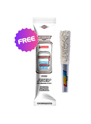 White Cherry Gelato Hybrid