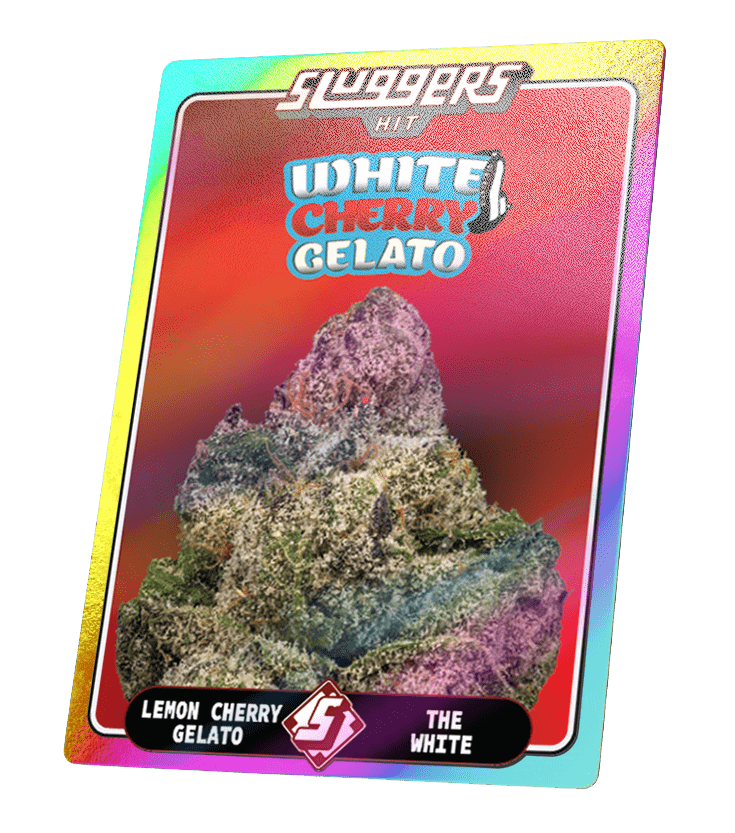 White Cherry Gelato Hybrid Juiced* 5-Pack – Sluggers White Cherry Gelato Hybrid Juiced* 5-Pack – Sluggers